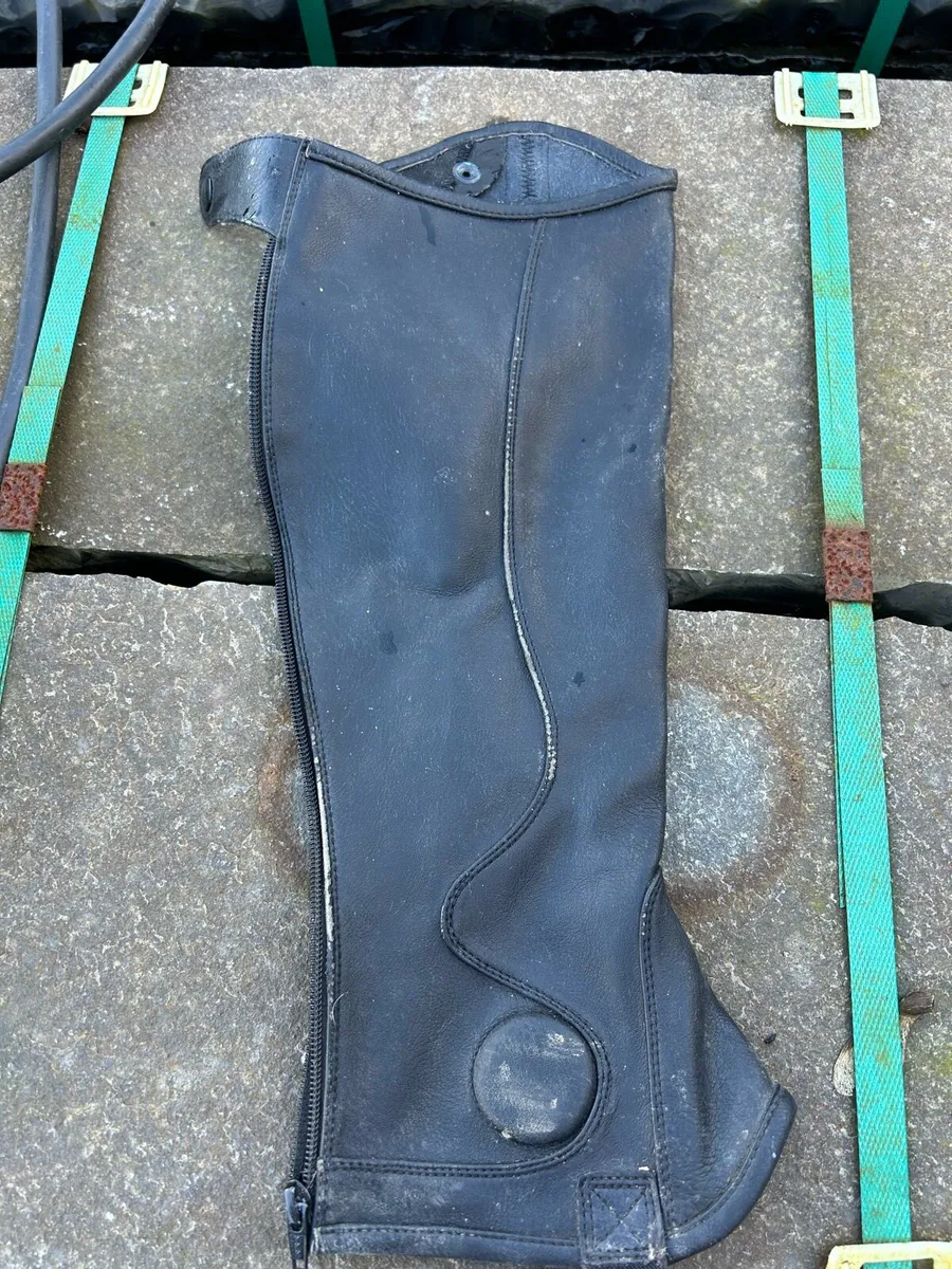 Horse riding chaps - Image 2