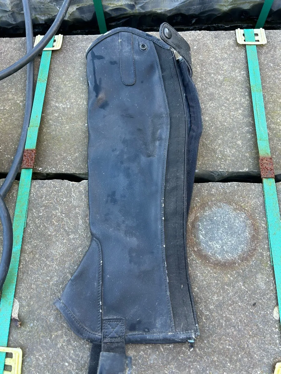 Horse riding chaps - Image 1