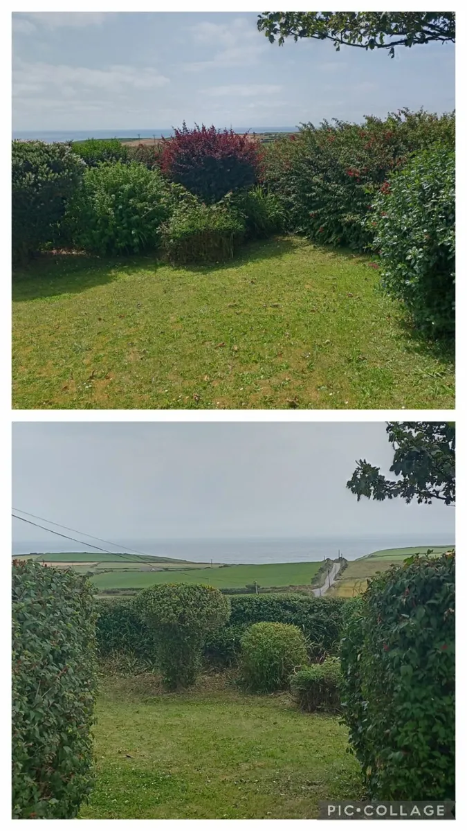 Garden Maintenance/Power washing - Image 1