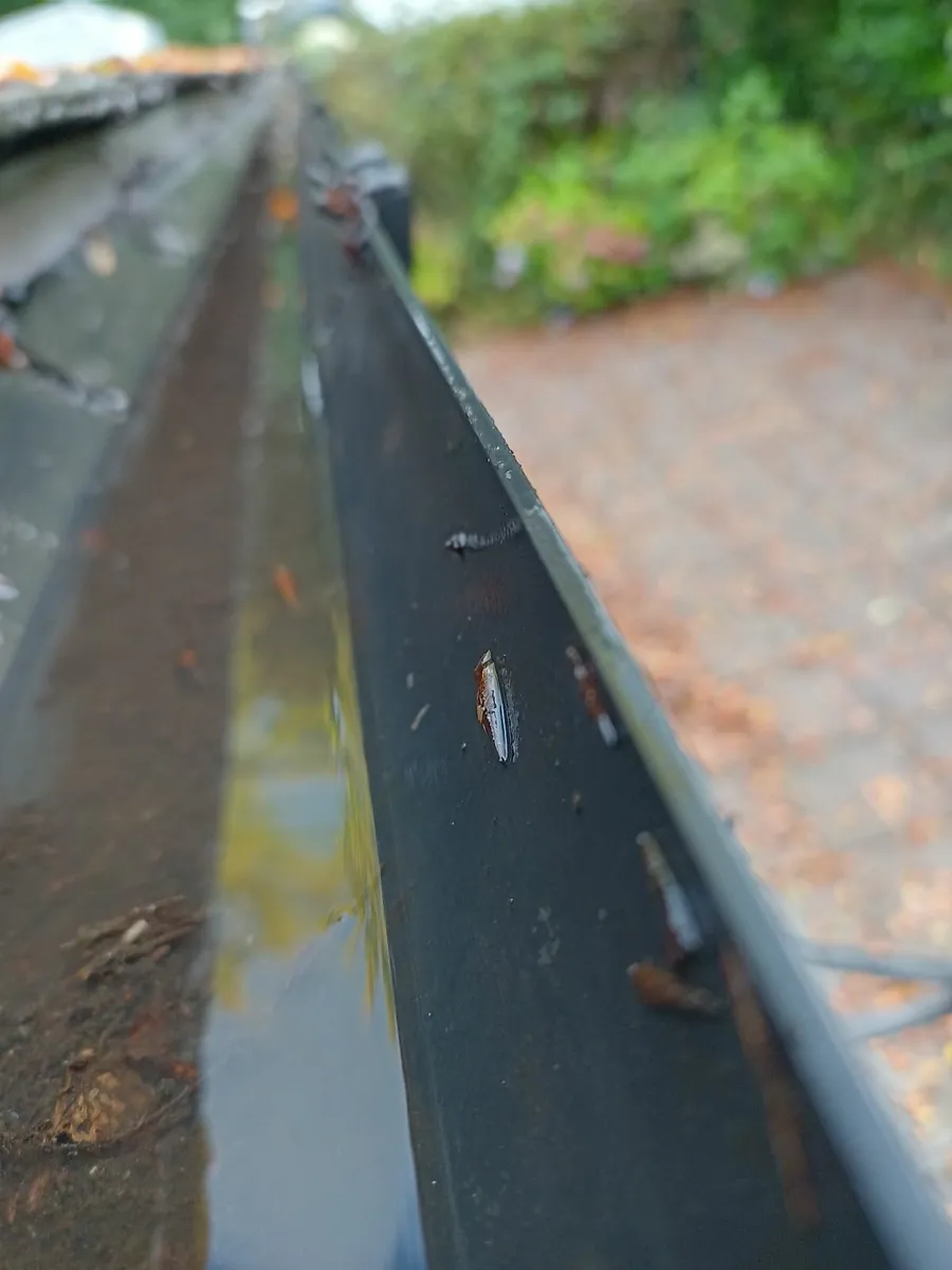 Garden Maintenance/Power washing - Image 3