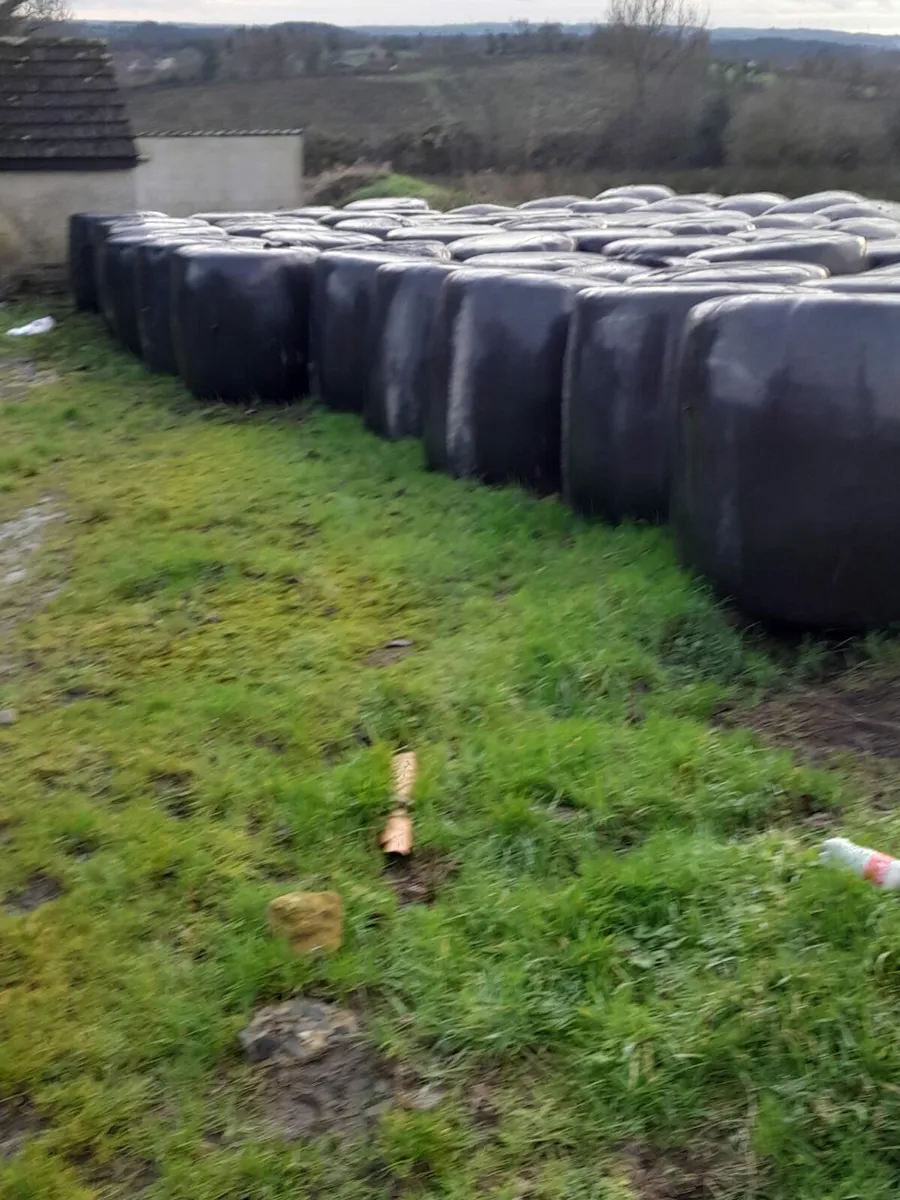 Round bales of silage - Image 2