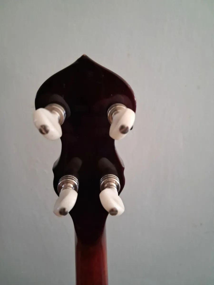 Washburn B16 5 String Banjo - Image 4