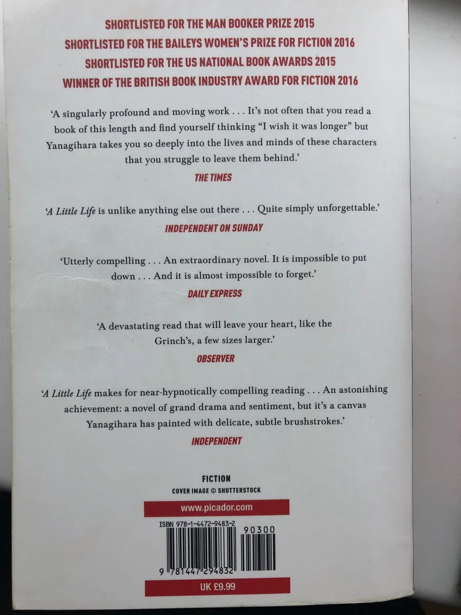 A Little Life  Hanya Yanagihara - Image 2