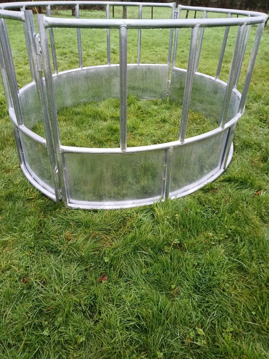 Ring feeder - Image 2