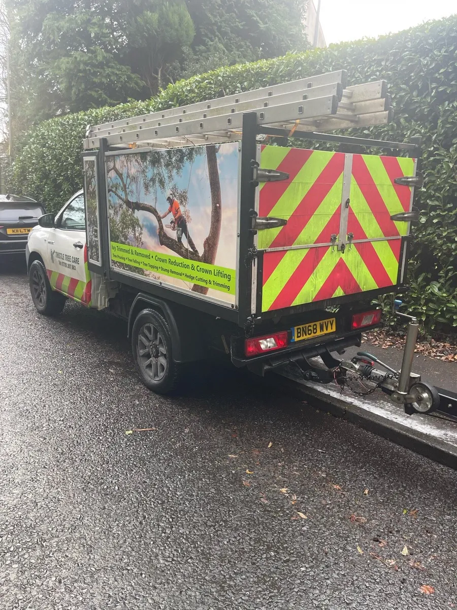 2018 TOYOTA HI-LUX 2.4 D-4D ARB TIPPER - Image 3