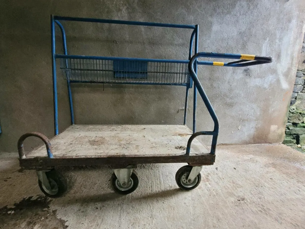 Heavy Duty Trolley - Image 2