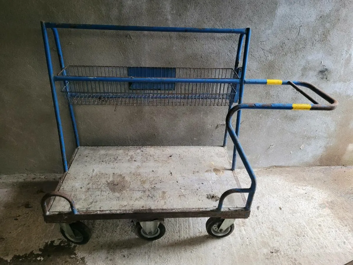 Heavy Duty Trolley - Image 1