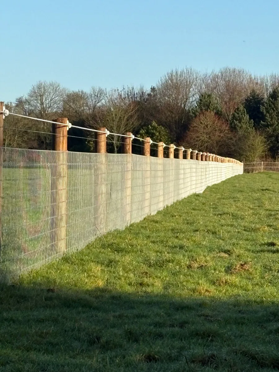 Cassidy fencing and groundwork’s - Image 1