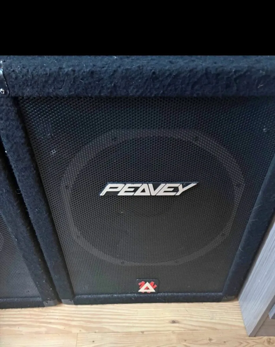 Peavey speakers - Image 2