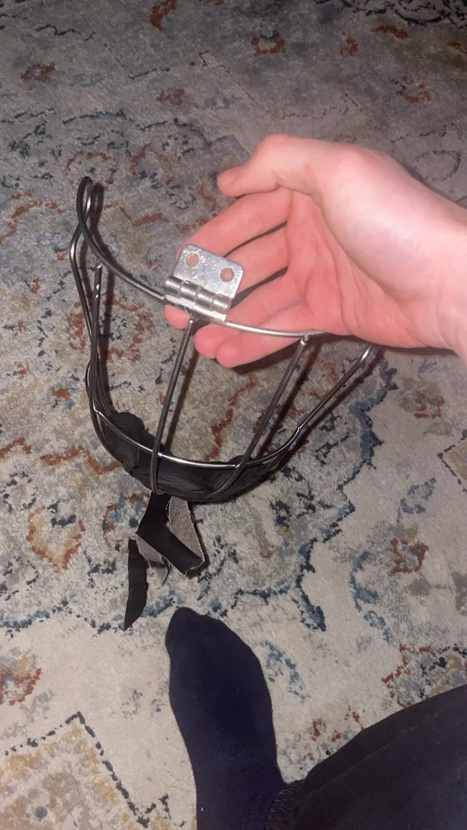 Oldstyle helmet guard - Image 1