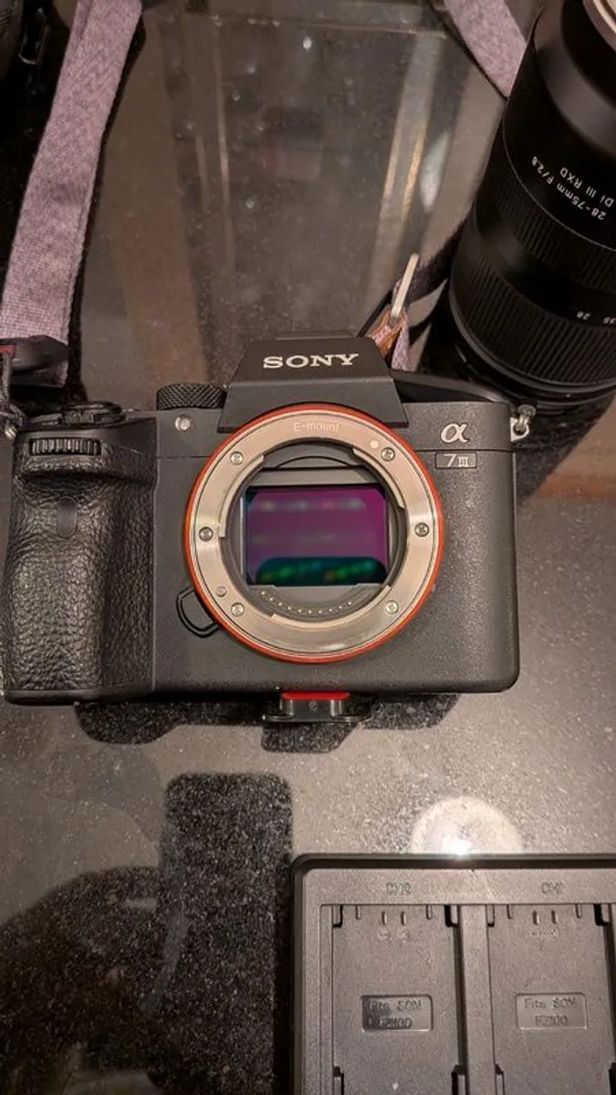 Sony Alpha  7iii - Image 4
