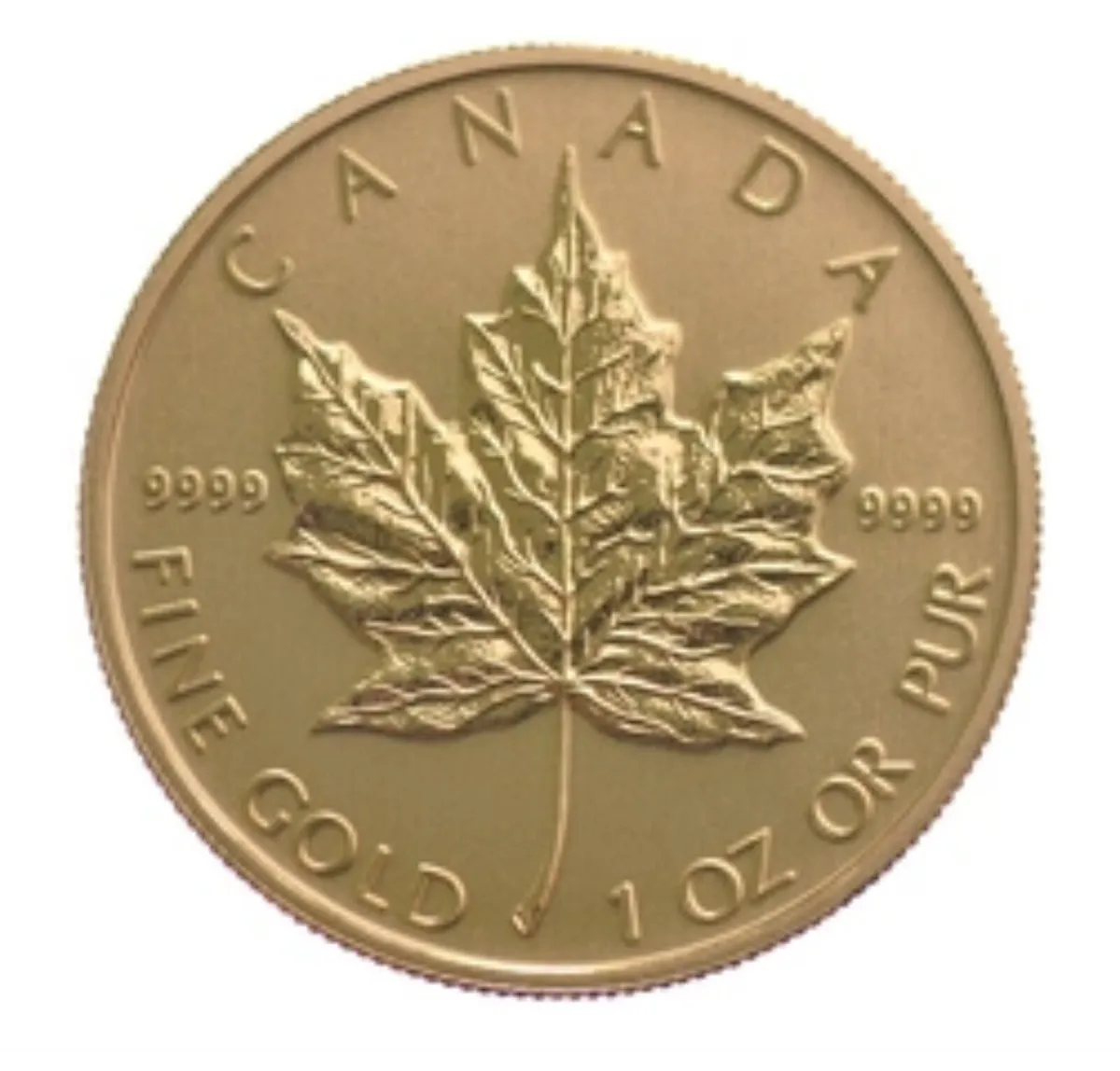 1 oz Gold Canadian Maple Leaf - Image 1