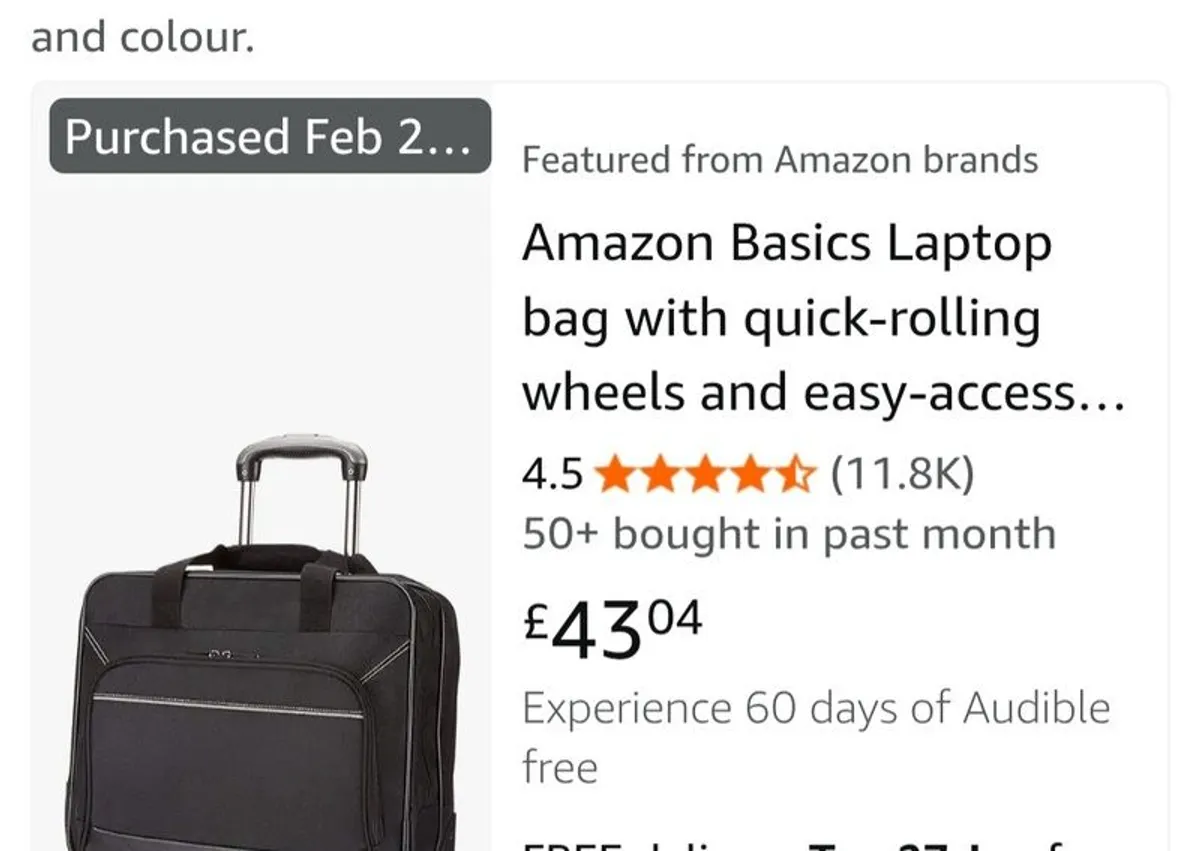 Laptop bag with wheels