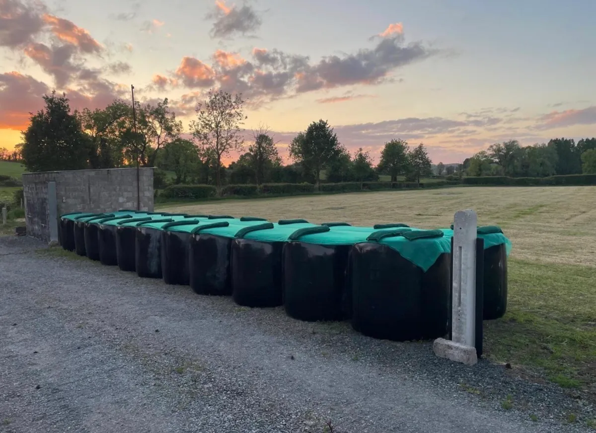 Good quality round bale silage - Image 2
