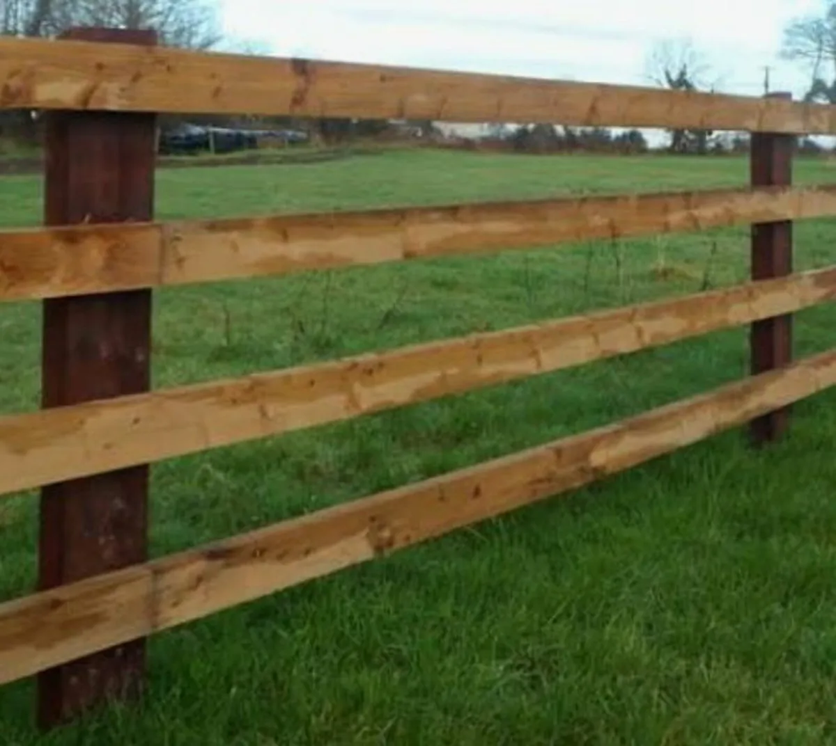Fencing gates decking painting - Image 3