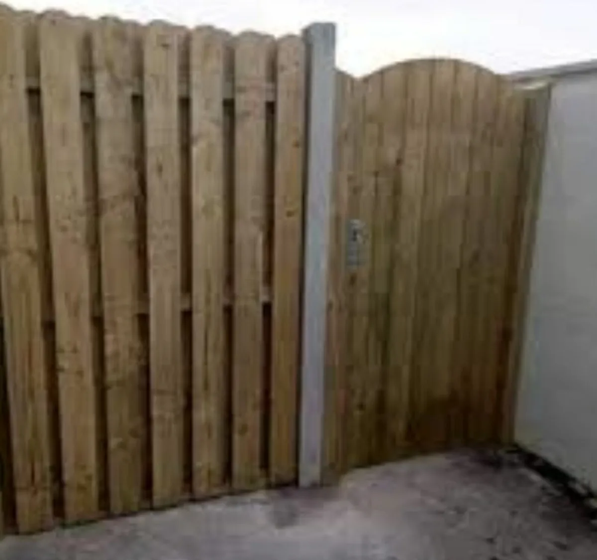 Fencing gates decking painting - Image 4