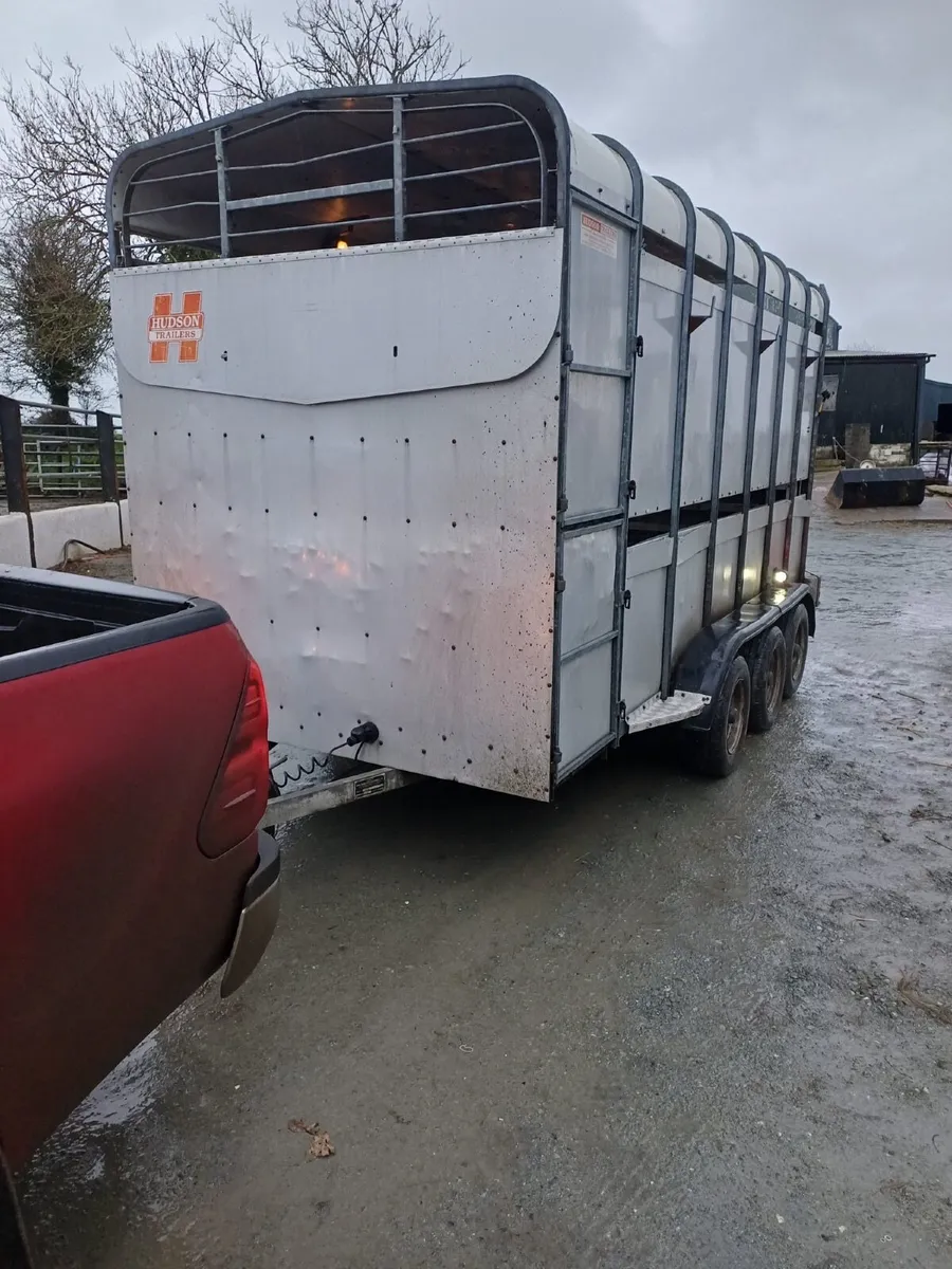 Hudson 14x6 horse/cattle box - Image 1