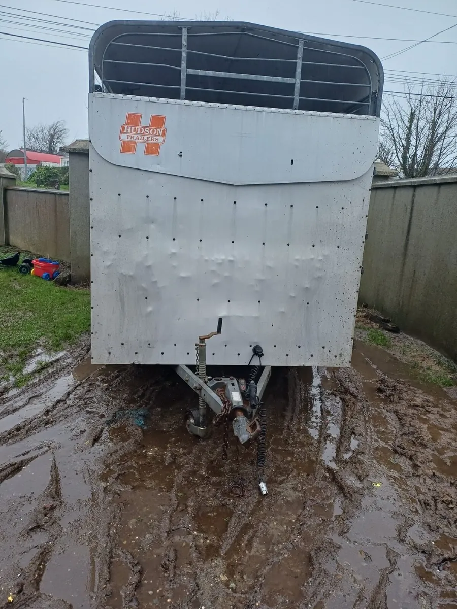 Hudson 14x6 horse/cattle box - Image 4