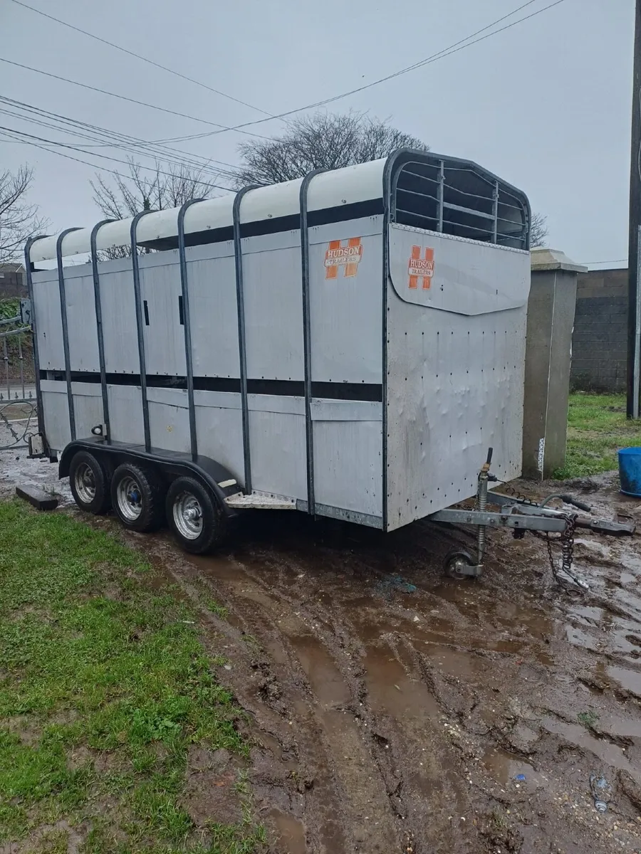 Hudson 14x6 horse/cattle box - Image 3