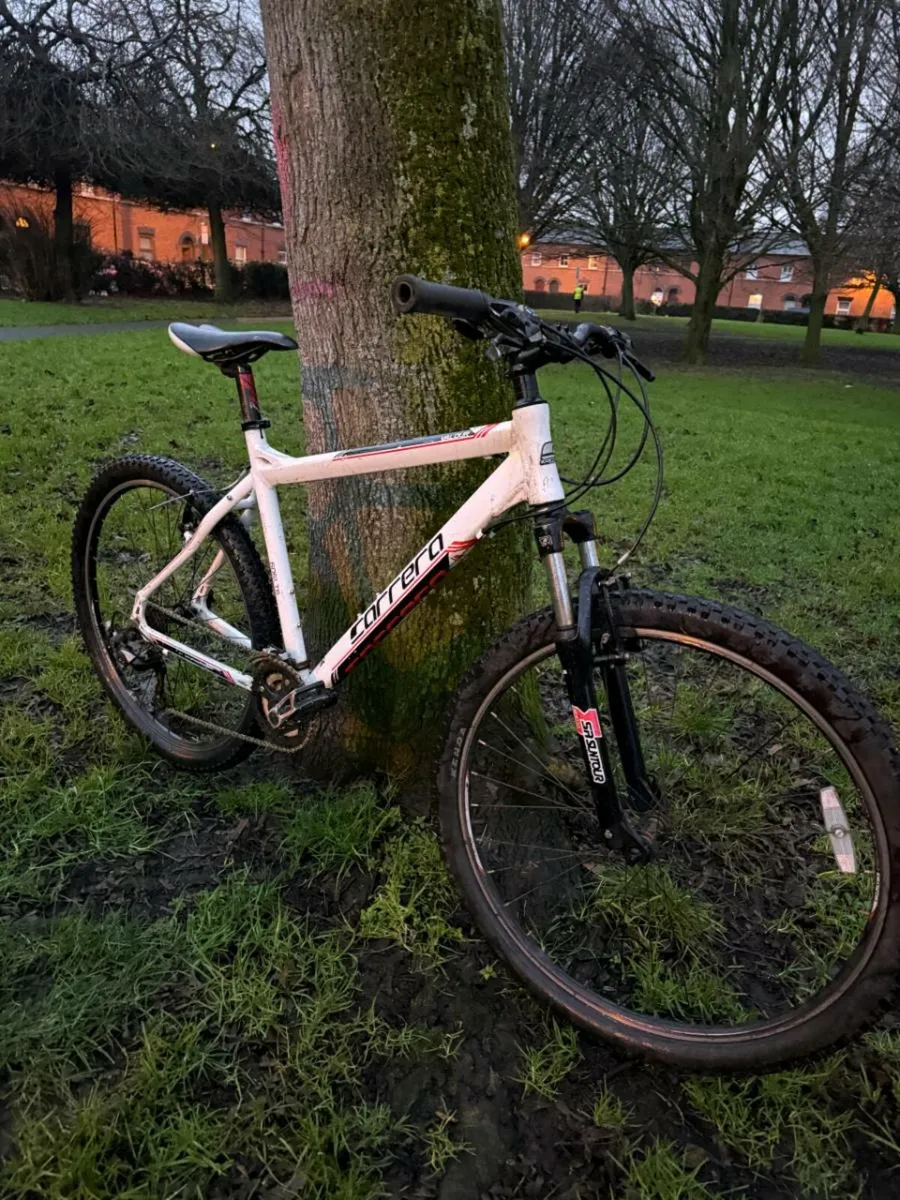 Carerra Bike - Image 3