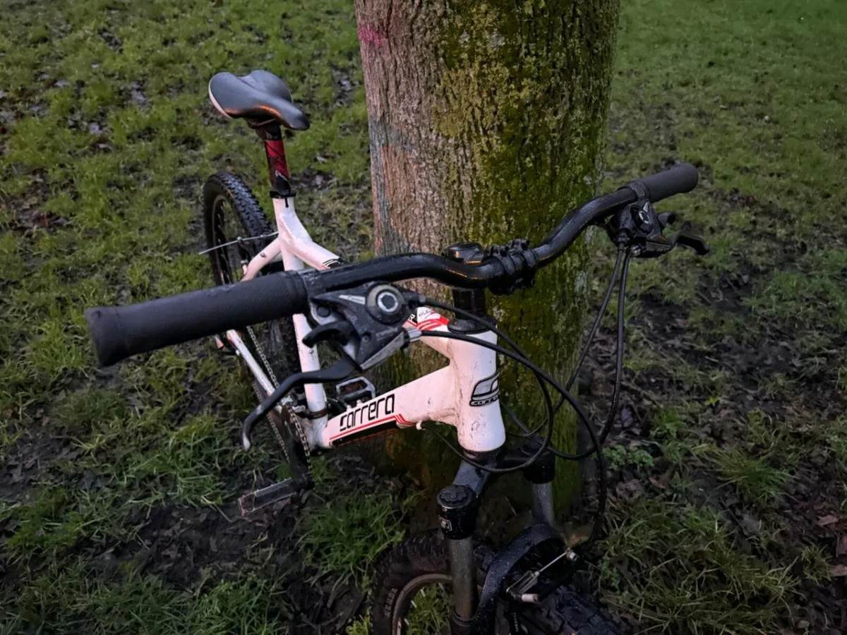 Carerra Bike - Image 4