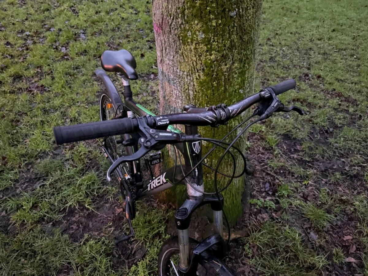 Trek Bike - Image 4