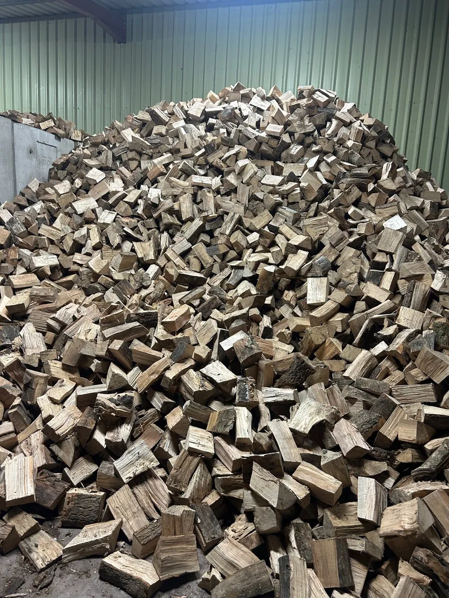 Ash Firewood - Image 1