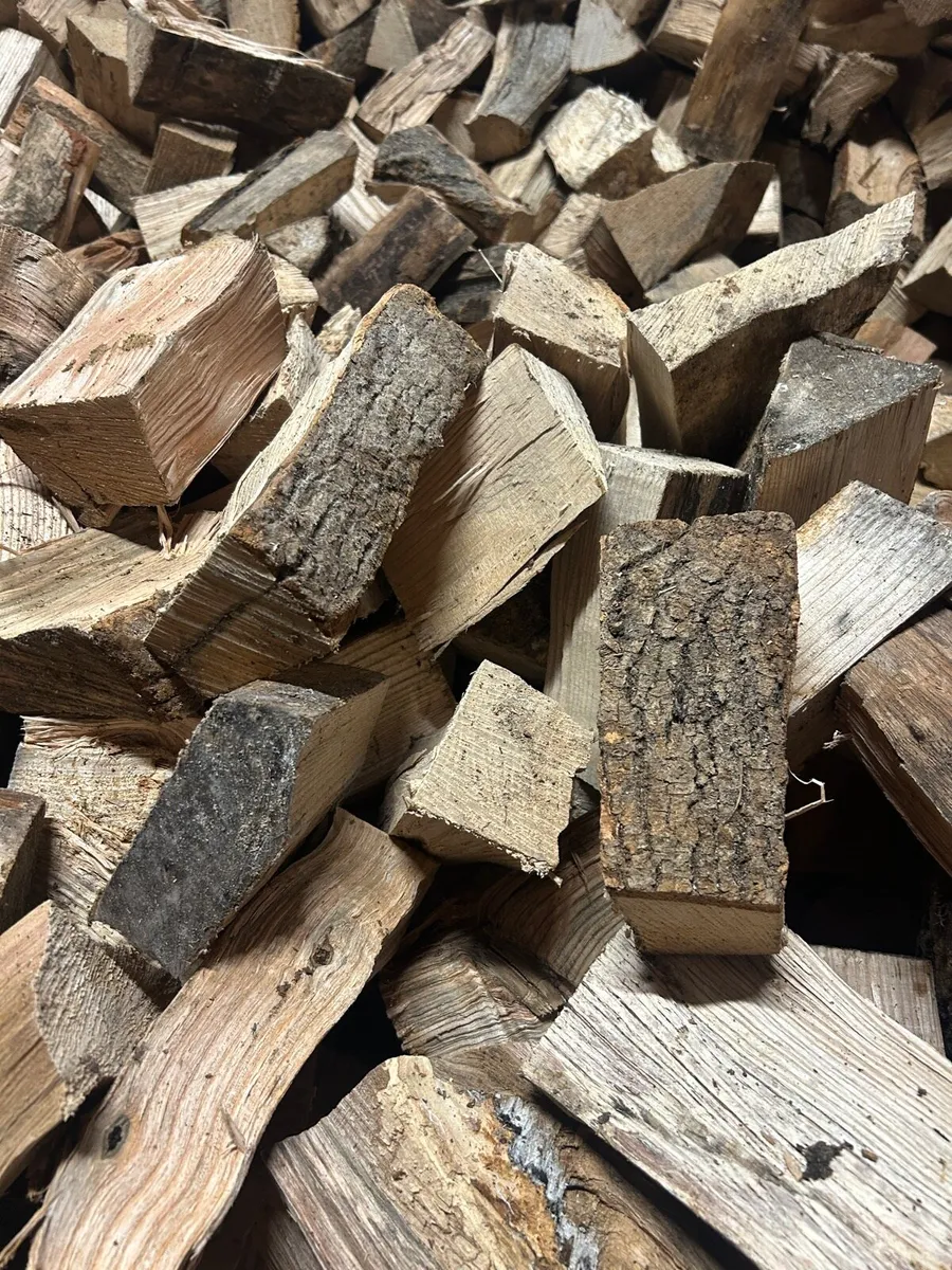 Ash Firewood - Image 2