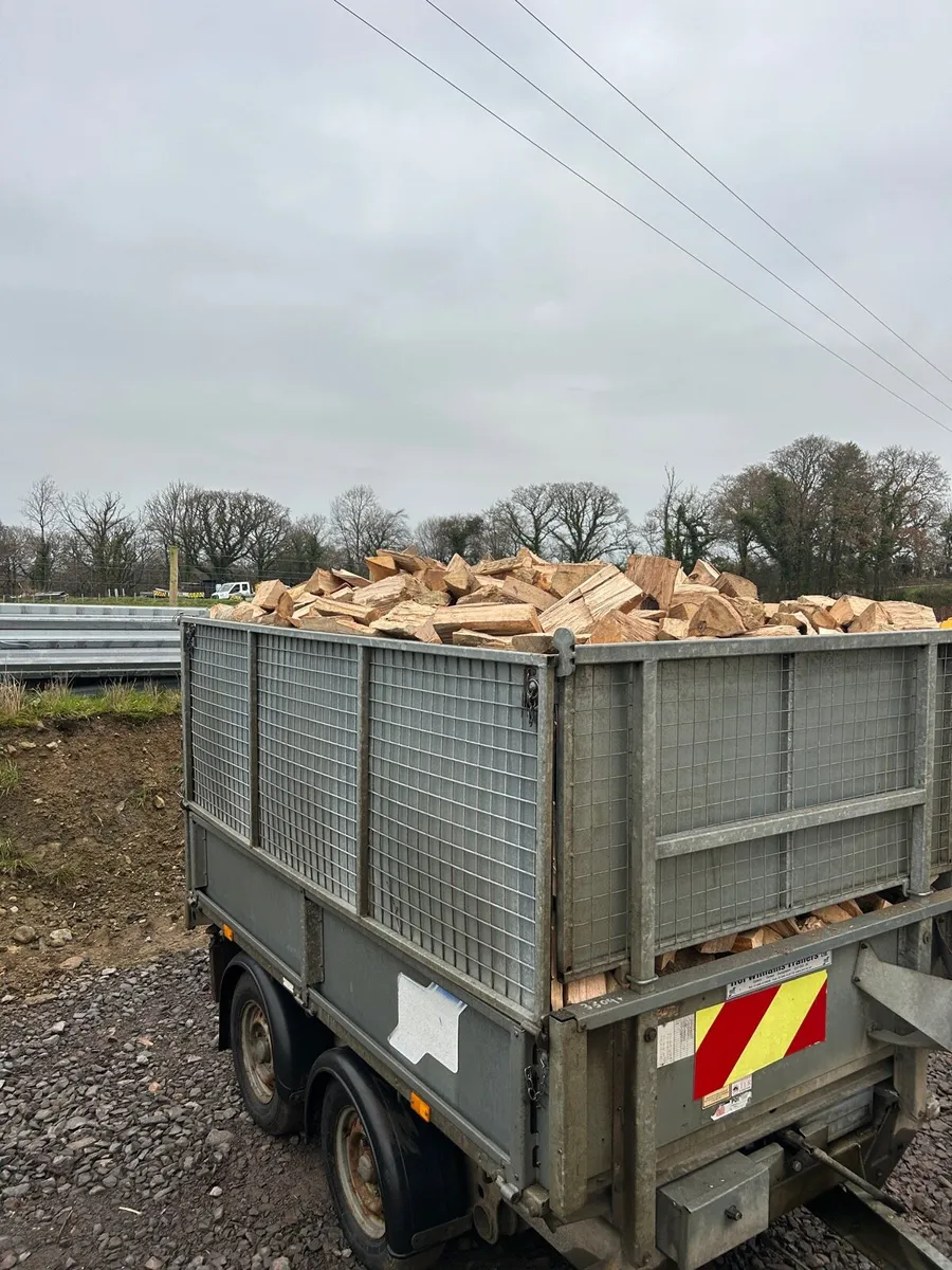 Ash Firewood - Image 3
