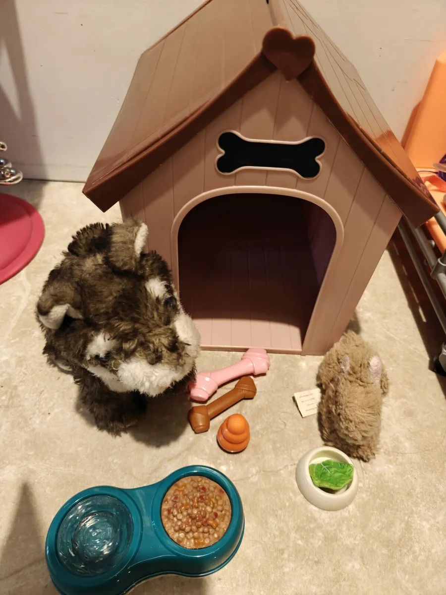 Our Generation Collection - Image 1