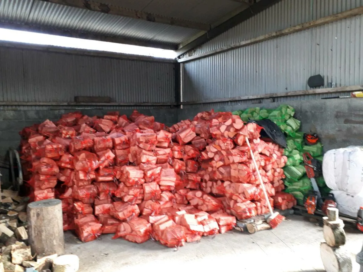 Ash firewood - Image 3