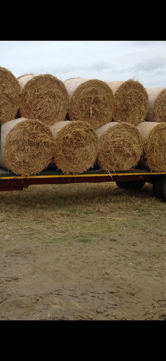 Barley and Oaten straw