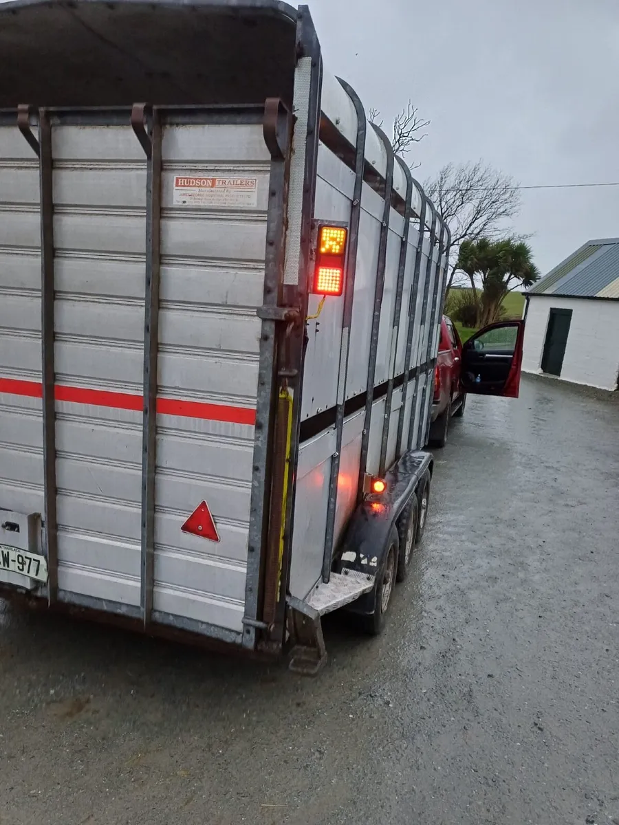 Hudson 14x6 horse/cattle trailer - Image 2