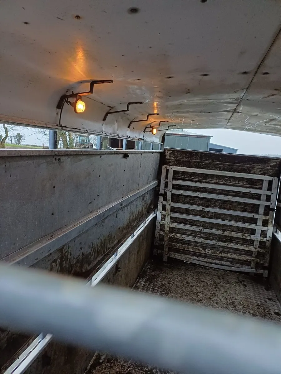 Hudson 14x6 horse/cattle trailer - Image 4