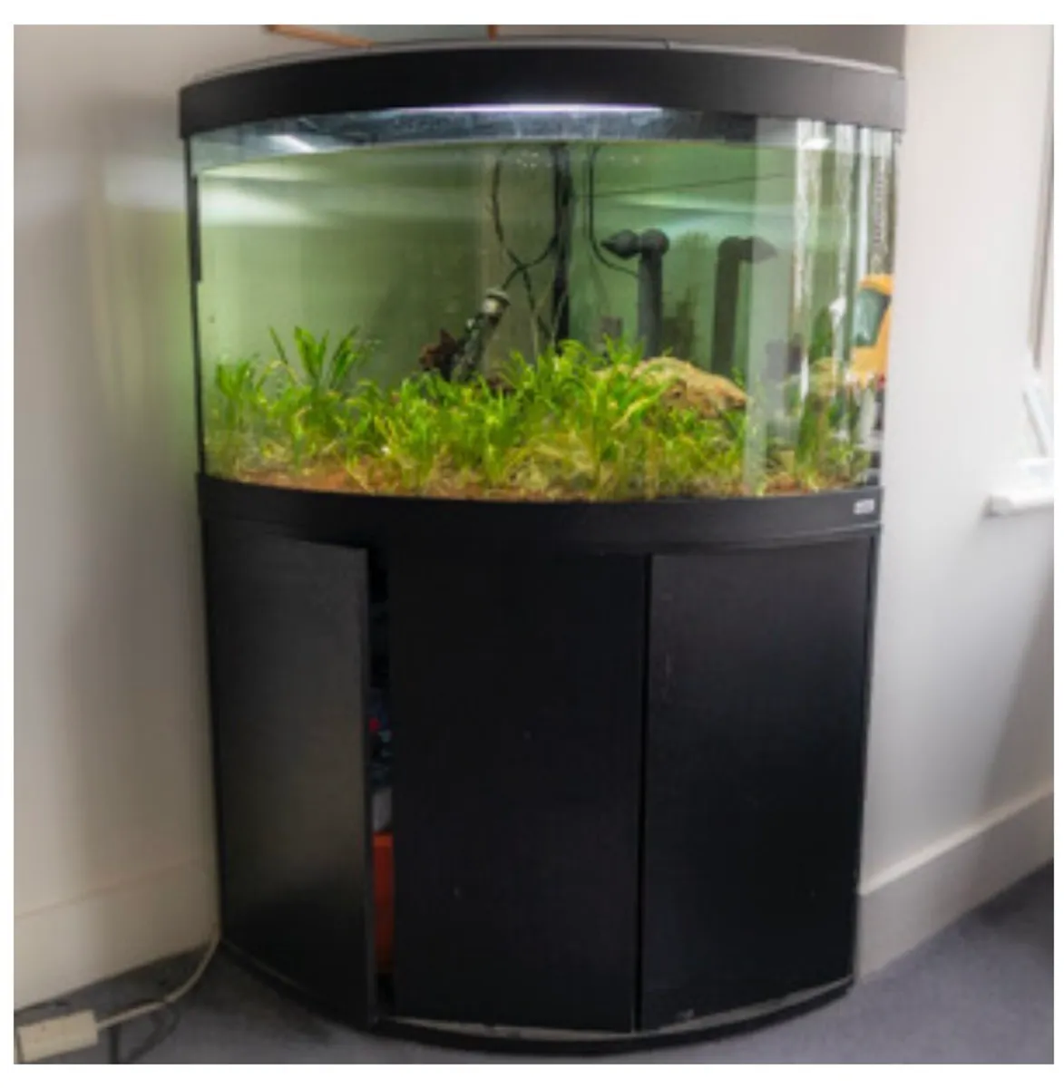 Aquarium for sale - Image 1