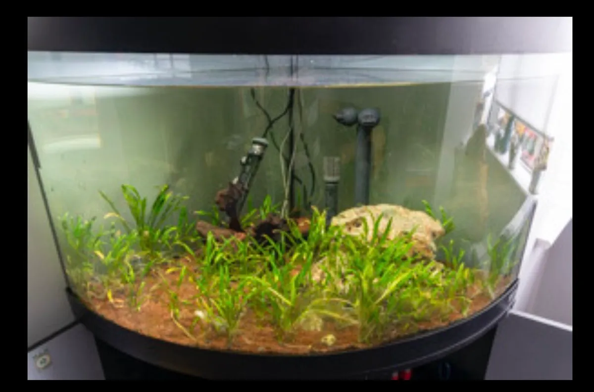 Aquarium for sale - Image 3