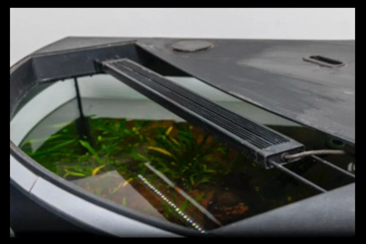 Aquarium for sale - Image 4