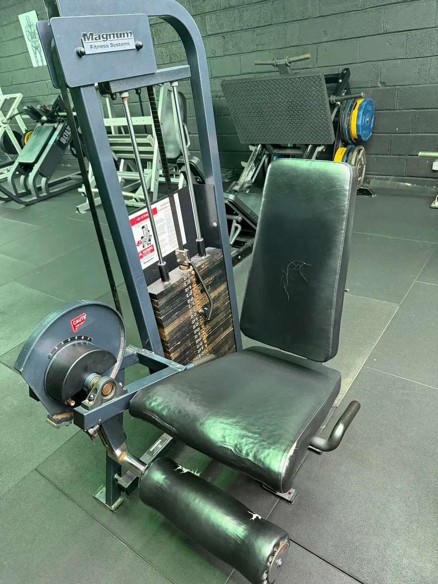 Magnum Leg Extension