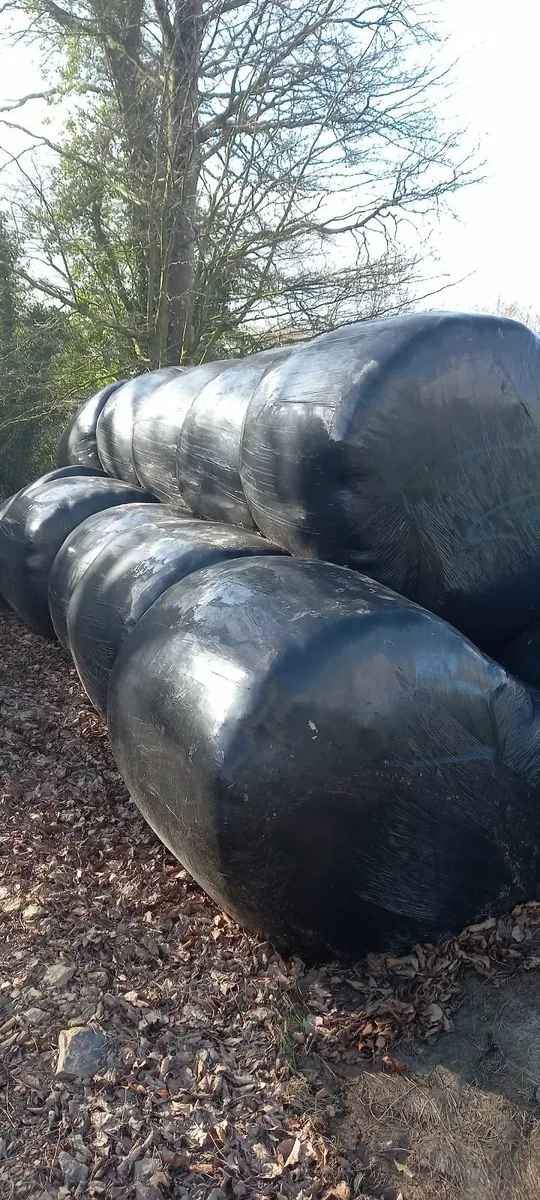 Silage bales - Image 1