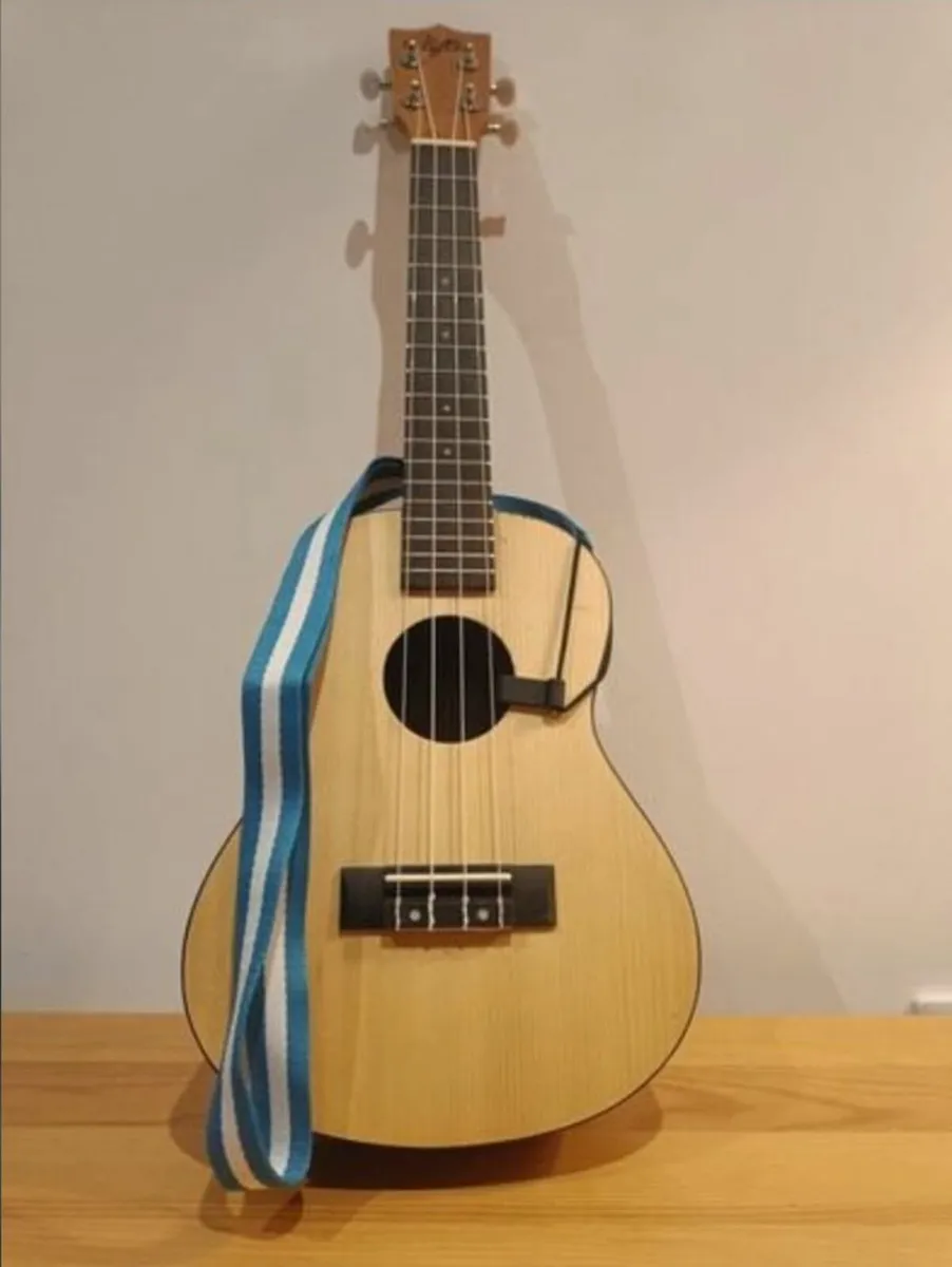 Ukulele + Beginners Course + Accessories - Image 3