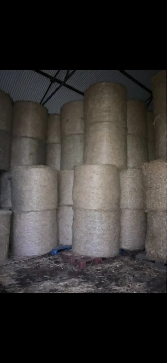 Silage and hay - Image 2