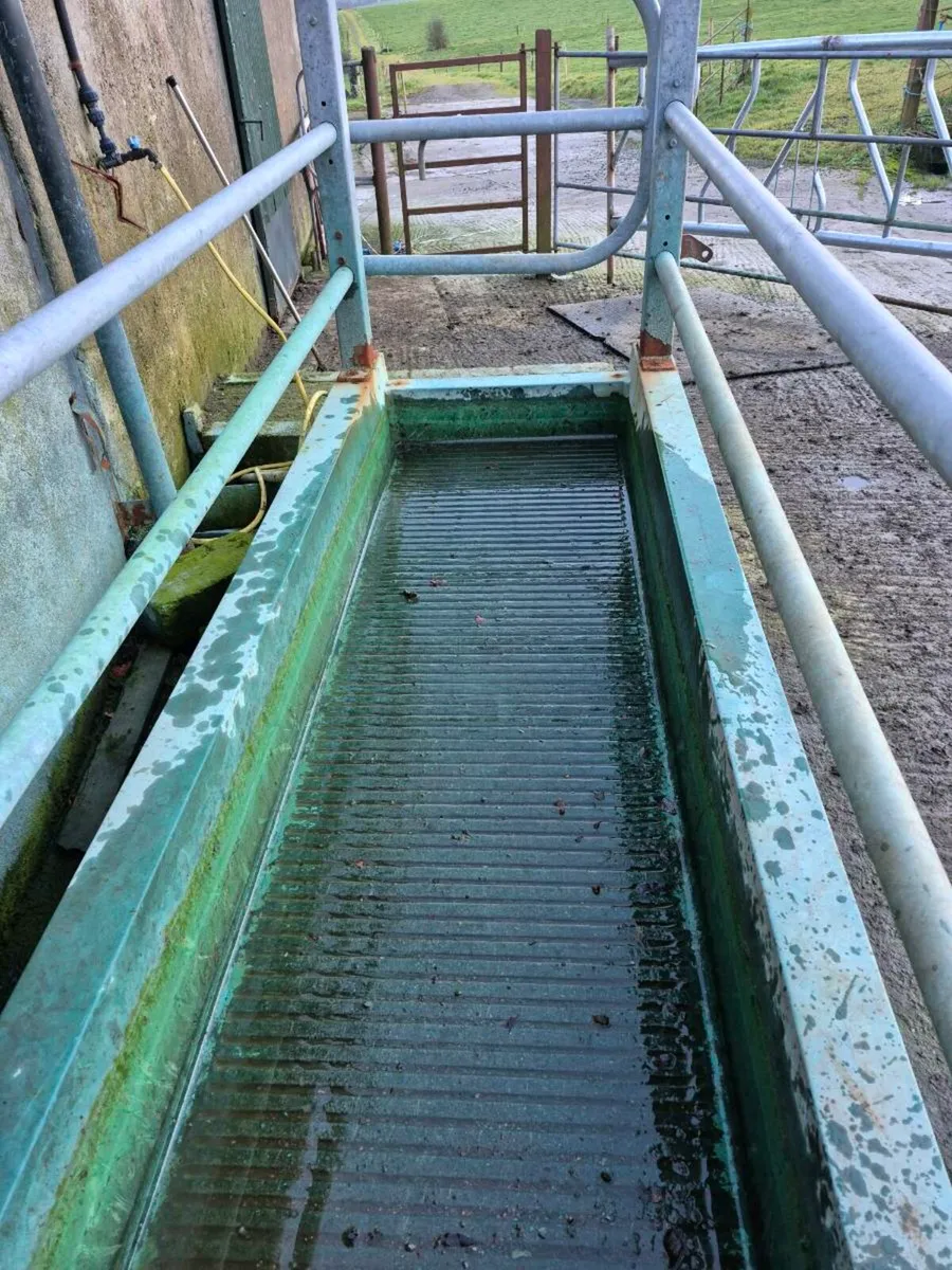 Concrete Footbath - Image 4