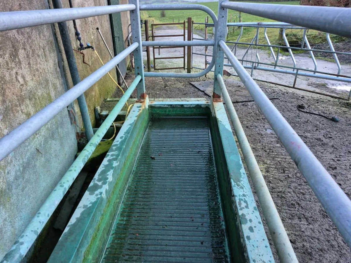 Concrete Footbath - Image 1