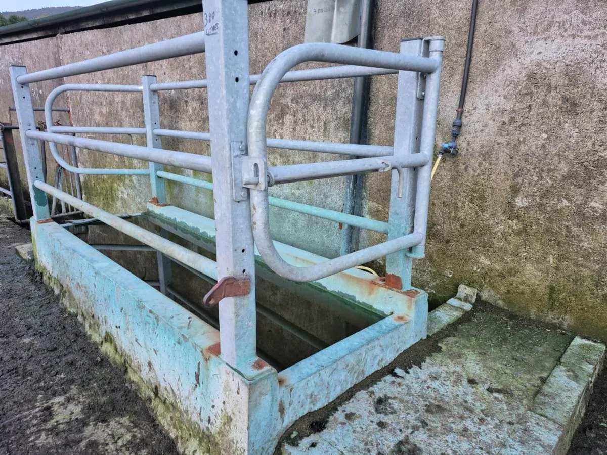 Concrete Footbath - Image 2
