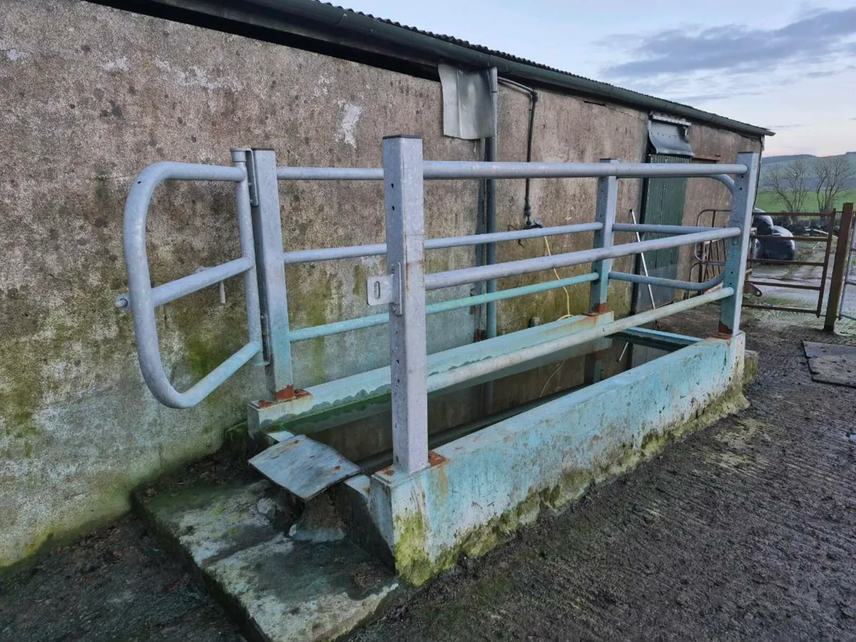 Concrete Footbath - Image 3