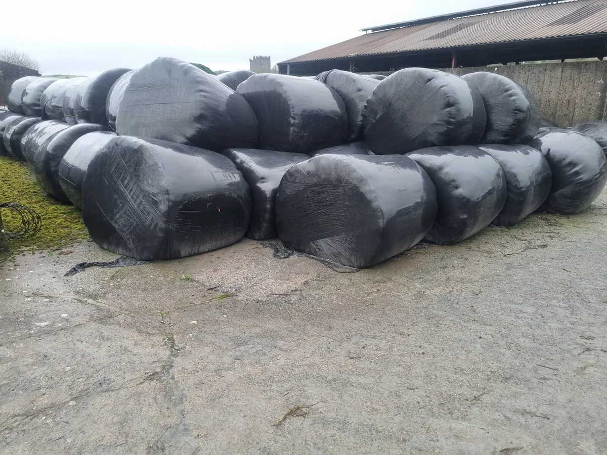 Silage bales