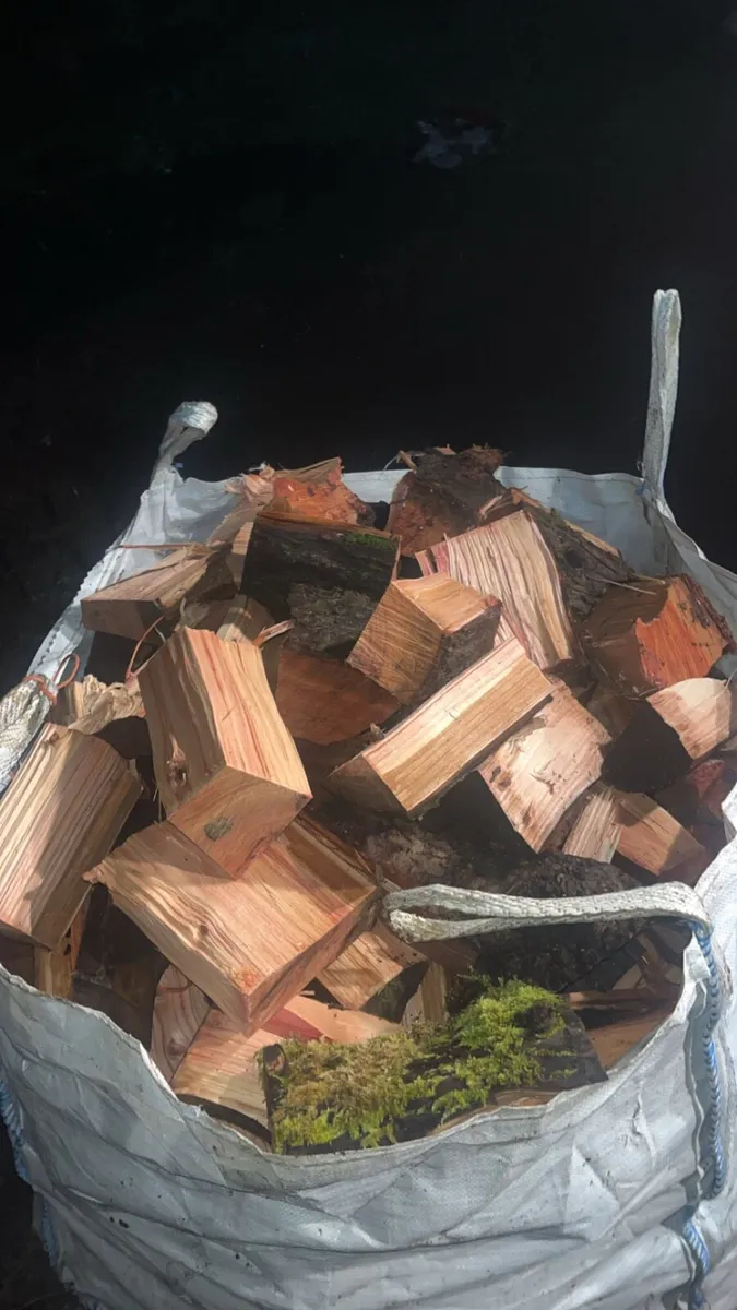 Firewood - Image 2