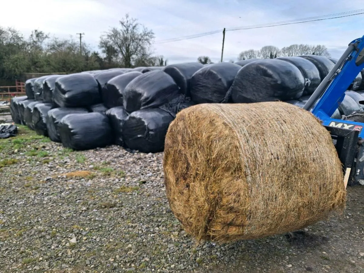 Silage Round Bales - Image 2