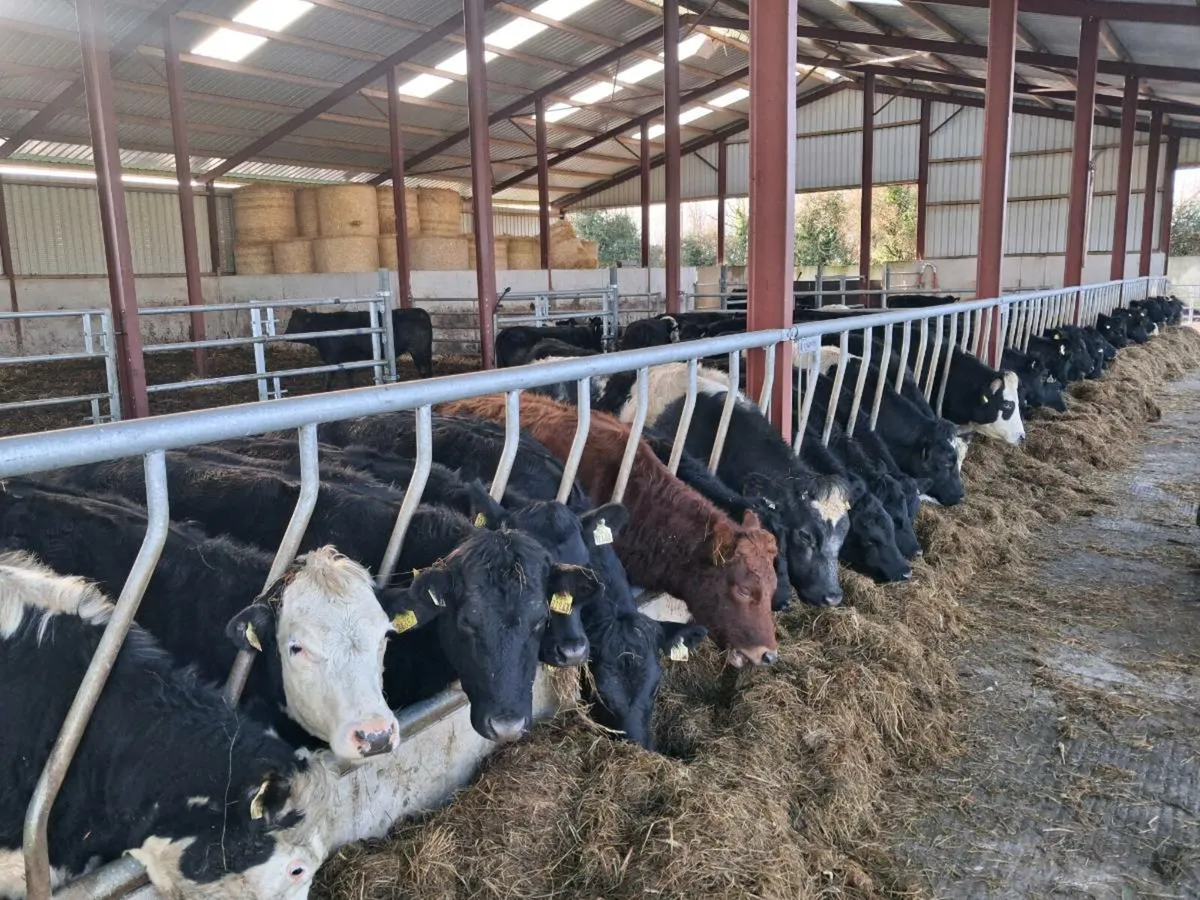 Silage Round Bales - Image 1