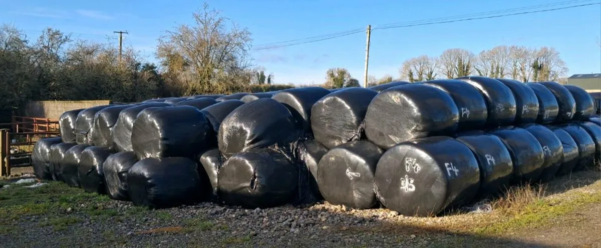 Silage Round Bales - Image 3